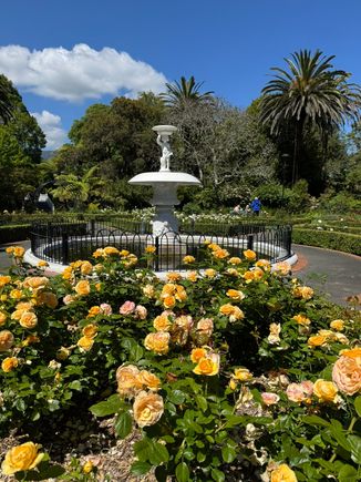 Queen's Gardens in Nelson