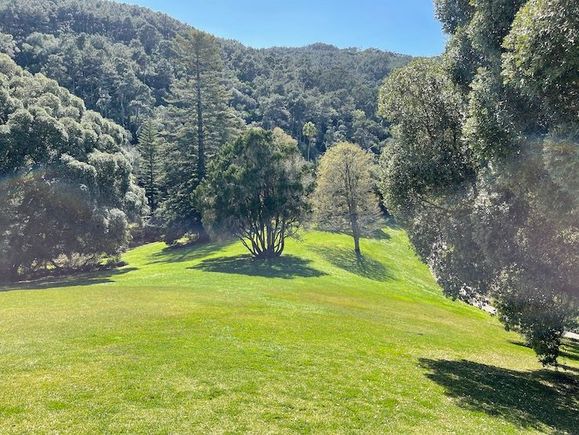 Without the hordes at Monserrate gardens