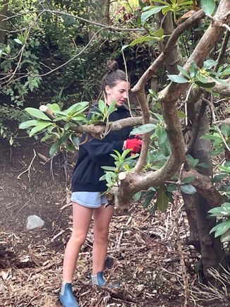 Molly doing some tree trimming
