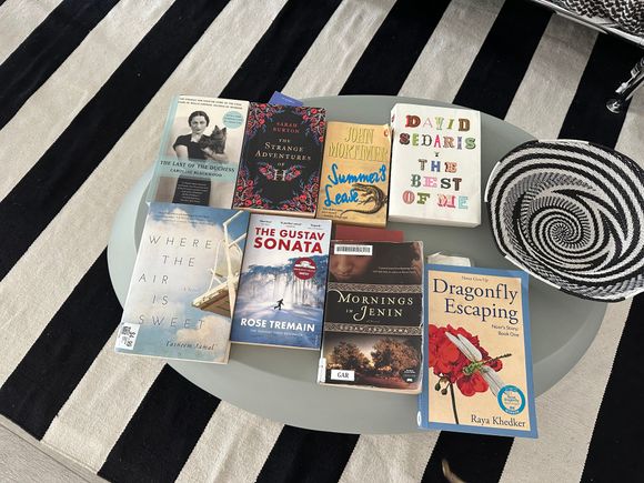 I love David Sedaris but would not want to leave that one behind at the hotel...so might not bring...