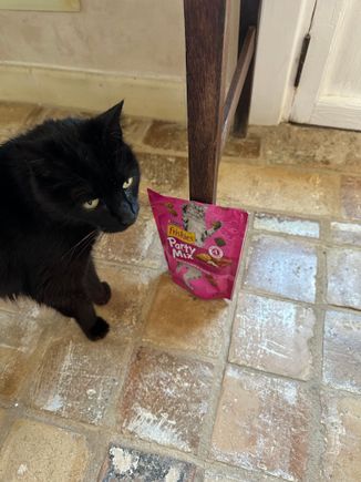 Sombra in my room with her treats brought from NYC!!