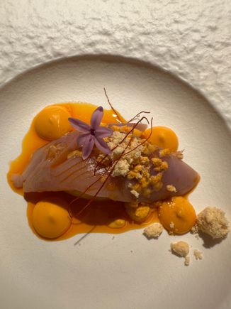 Bonito del Norte, a variety of Atlantic tuna, over two consistencies of an emulsion made from pimenton (smoked paprika), garlic, and olive oil....