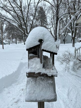 My bird feeder again.