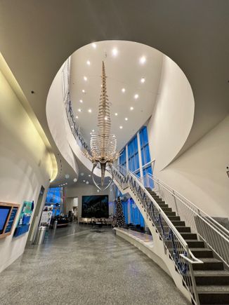 The entrance hall of the Museum of the North