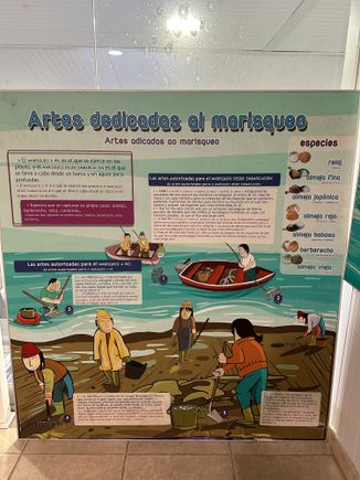 Those working the waters in Galicia command a respect that I  do not believe is shared in the USA.