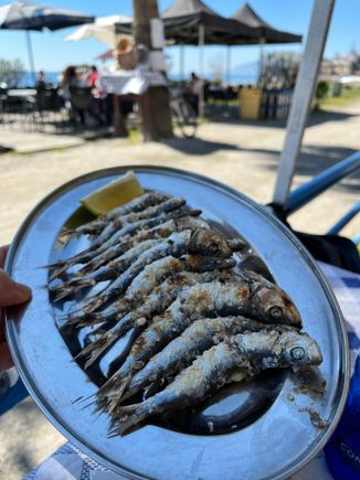 Grilled sardines