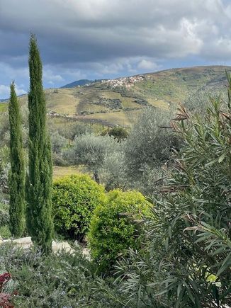 Views around the estate