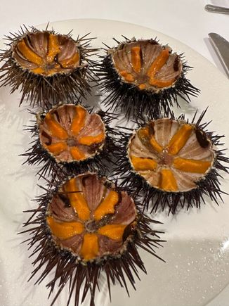 My beloved ricci di mare