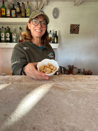 Sara offering almonds picked today, and toasted and bathed with oil and salt..addictive, just fantastic!!!