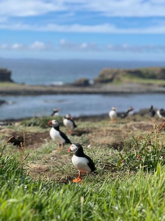 A few birds seen around the place I’m not reporting on.