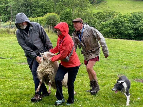 Bringing back contestant #1