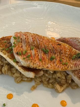 I had always passed on mullet in Spain and Italy and back home. Never again!!  Filets of salmonete over rice were exquisite.  