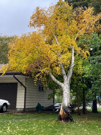 This is what I woke up to on Friday morning. My tree on my neighbors house.