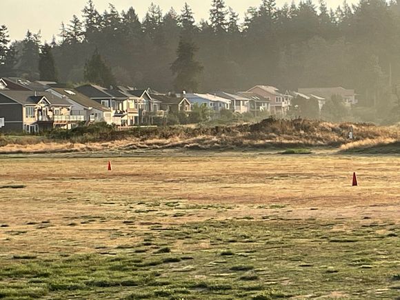 Could it be because these houses once faced a golf course that has been let go to seed and now it's a nature walk?