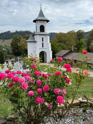 View from the church. Lots of pink roses!
