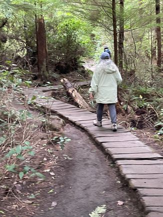 A number of board walks on the trail.