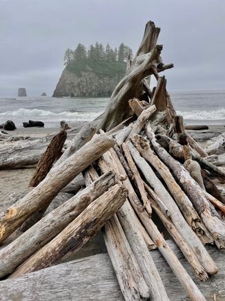 This is a random pile of logs that have been done by humans.  On our way back up the hill we passed about 10 people who had permits to actually camp on the beach.  Too much gear for us to schlep to the beach!