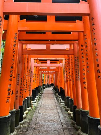 Worth climbing up the top if you want to lose 99% of the tourists