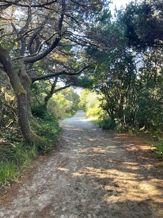 We've been told we can walk to the beach from our campsite so we head out on the trail.  It's a very nice trail but it's sand which is odd because it seems like we are in the forest?