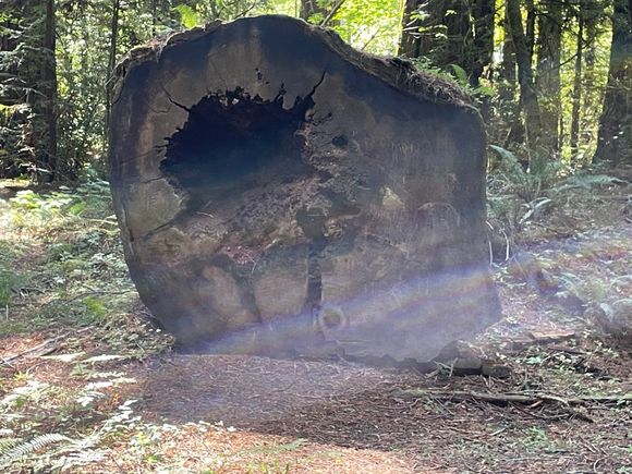 An old fellow that's been down for quite awhile