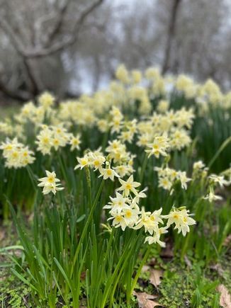 Trying out the portrait mode to blur background 