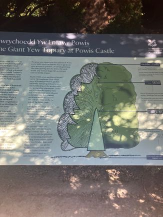 This is an explanation of the topiary - not a great photo though