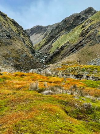 Colorful tundra 