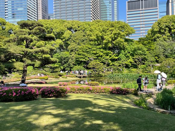The gardens we've seen haven't felt like Japanese gardens that we have seen at home in the States, and I think because have taken all of the elements of Japanese gardens and crowded them in one spot.