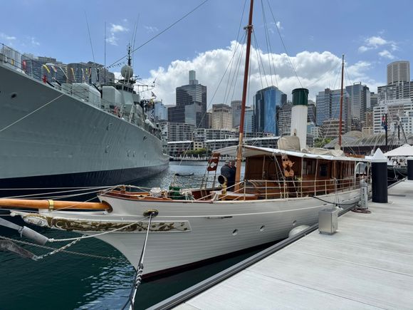 The Steam Yacht Ena. 