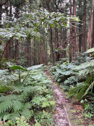 A wonderful walk into the beauty of the island 