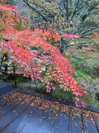 View from the lobby window