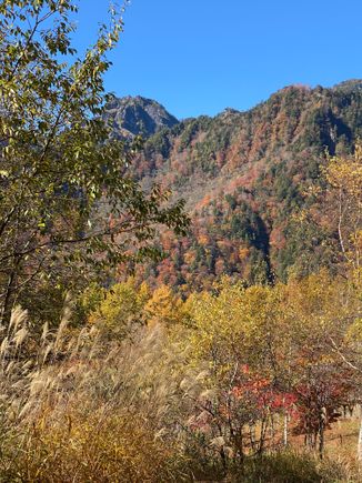 Colors in the mountain 
