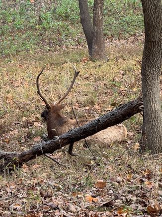 Hey buddy, turn around!!!