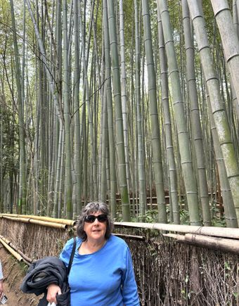 Bamboo Grove