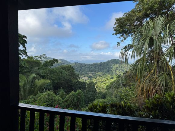 View from our large wrap around deck 