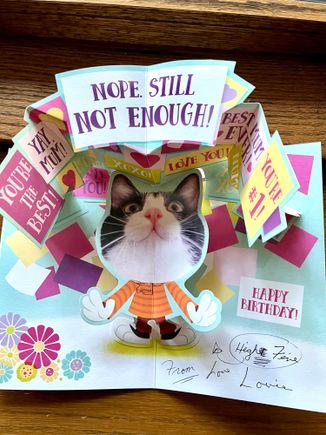 Have been trying to teach Louie high five but it is not going well