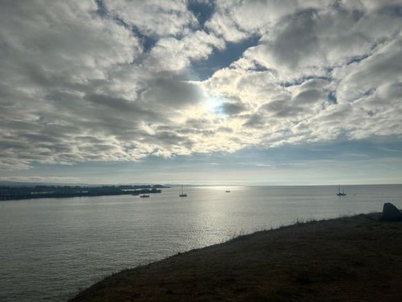 From my walk this morning 