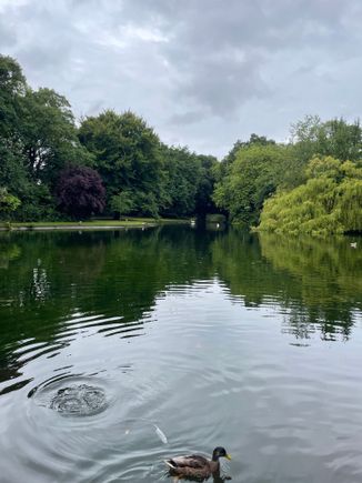 St Stephen’s Green