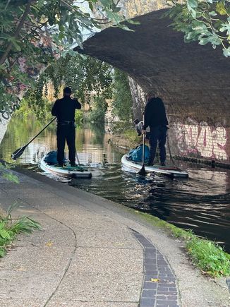 We followed these paddleboarders for a good mile or so