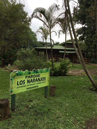 The visitors' center, with the site museum in the background.