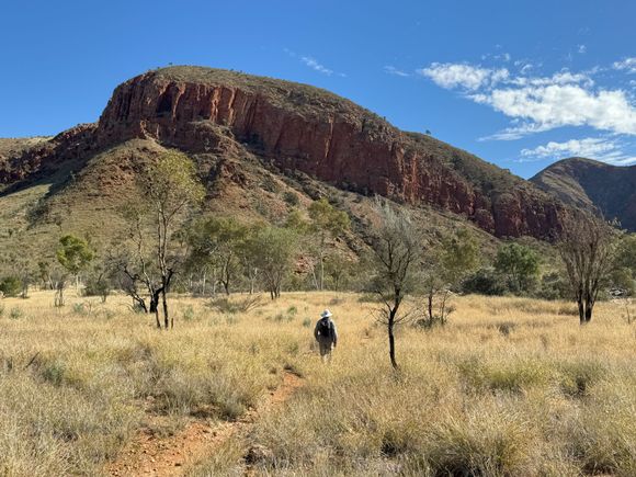 A lonely Dave led the way