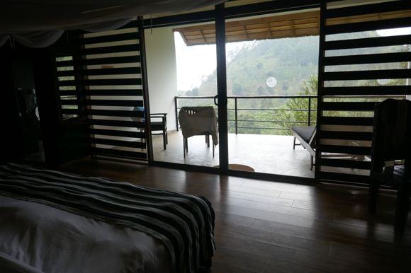 The terrace