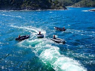 Zodiac drivers at play
