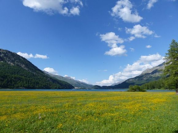 Looking back at where we were : towards Silvaplana and Surlej 
