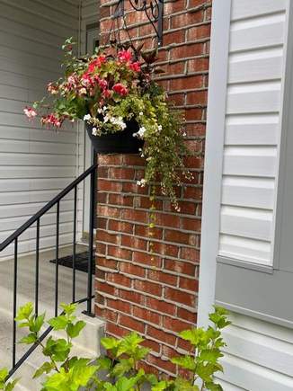 This is the hanging flower basket, note the flowers are wilting because  because you cannot water them