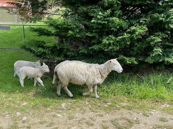 Almost the only sign of life we saw in 3.5 hours of walking