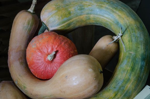We'd been warned that Luz's weekly market was too small, but in fact we were pleasantly surprised at its depth and breadth. It felt tightly-organized and was definitely not too small for our needs. *Folks will tell you that the biggest and best local market in their estimation is up in nearby Argeles-Gazost town.