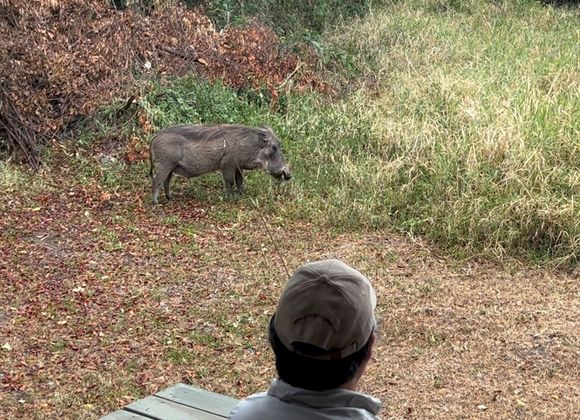 A surprise morning visit.