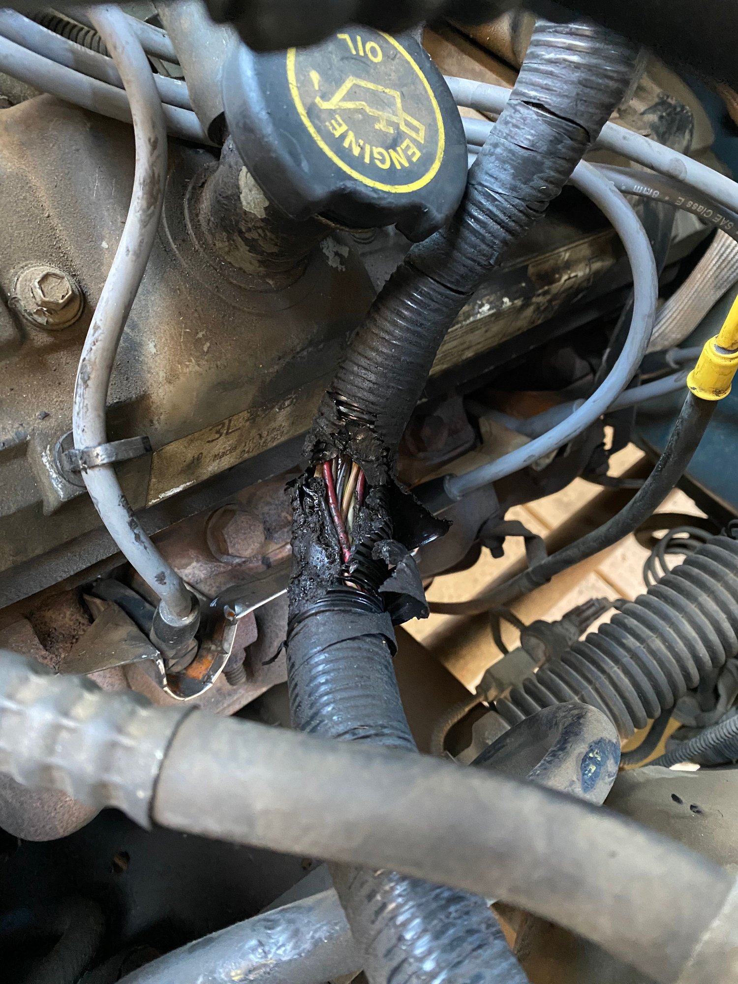 EGR Solenoid (or maybe EEC??) on 93 F250 460 7.5L Ford Truck