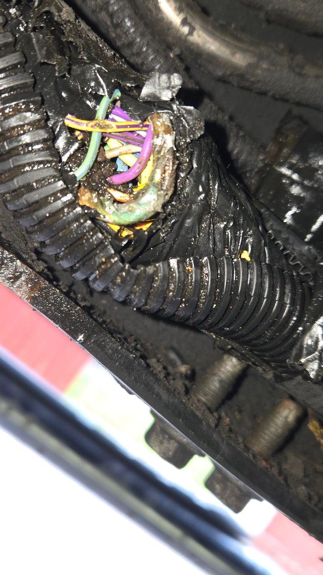 Rubbed not only the sending unit wire shorting it out, but the ground for the rear camera.  See below. 